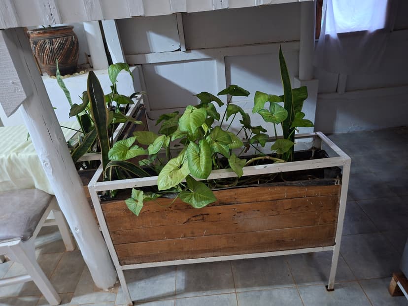 20251109 062302 T5Usqo