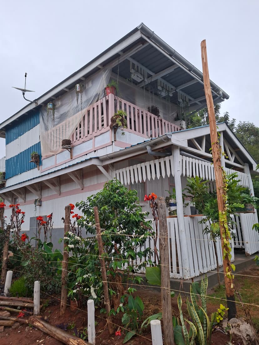 20251109 063401 U2Yrtx