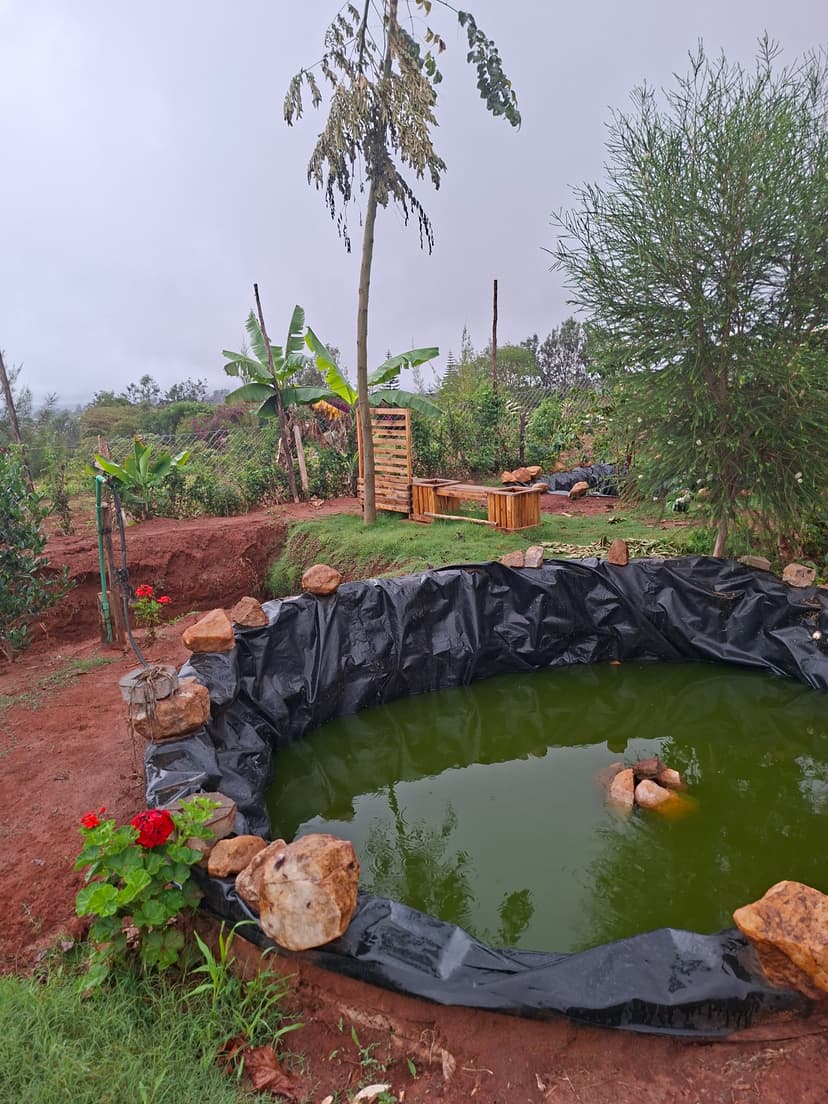 20251109 063904 Lk2E2D