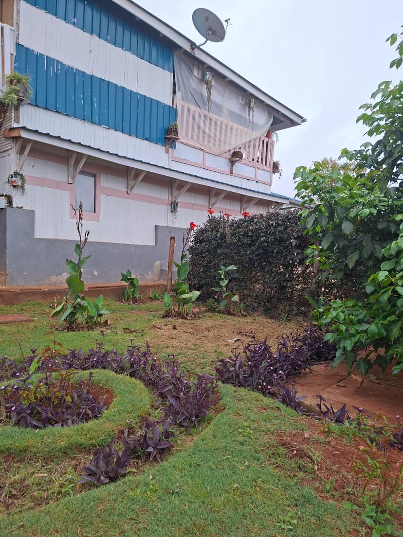 20251109 063628 Vmh15K