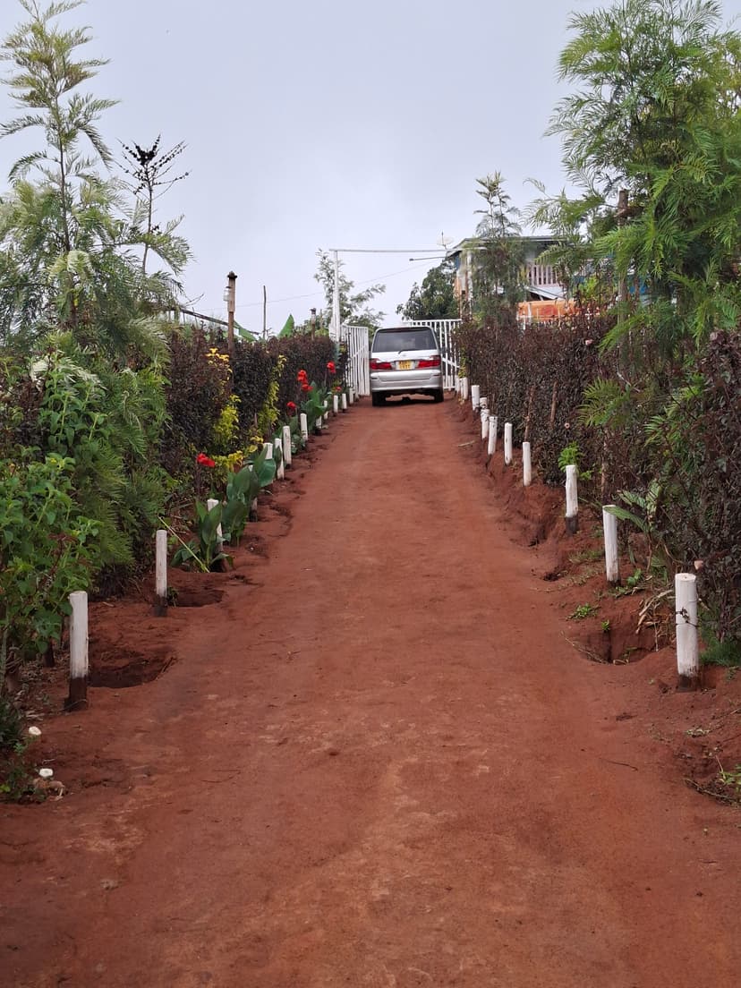 20251109 064149 Cnfux4