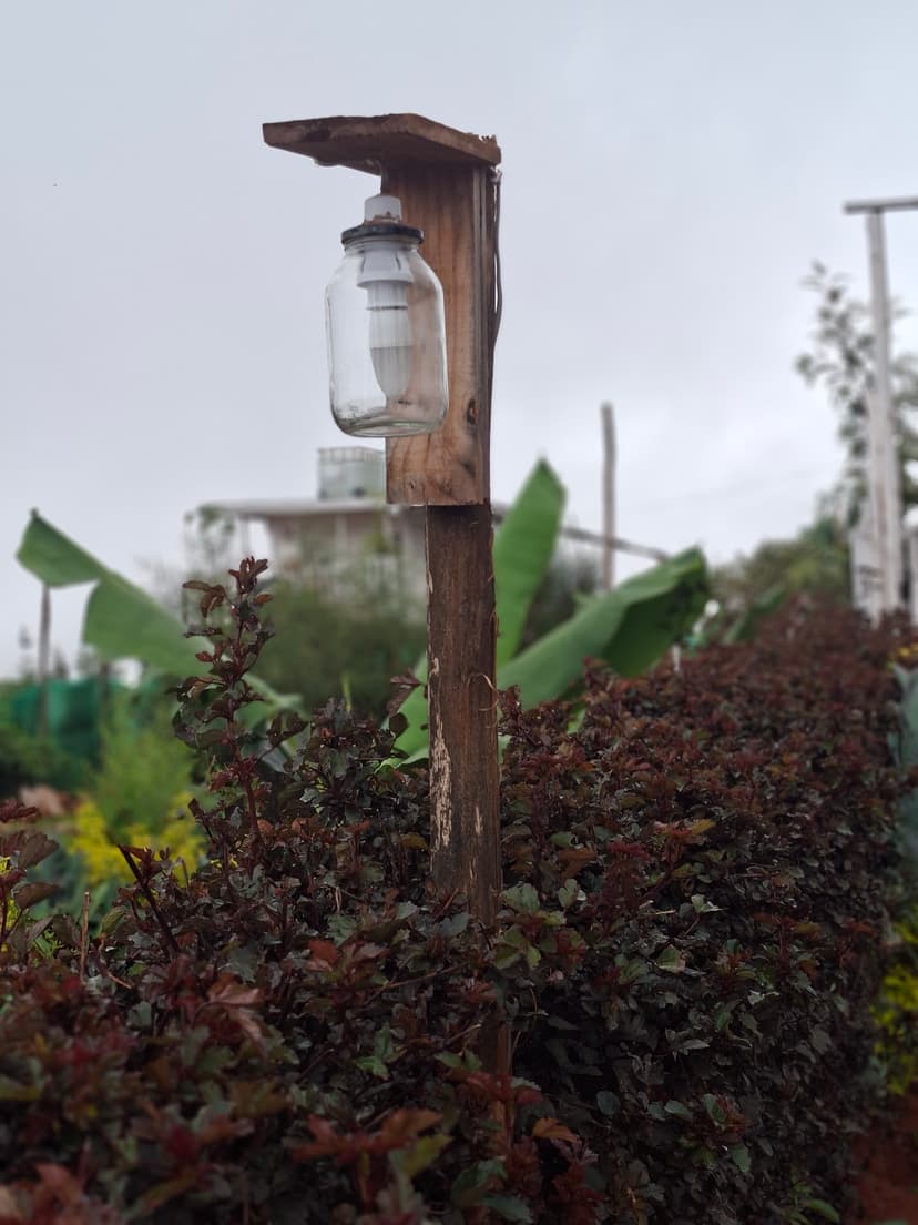 20251109 064424 Pbaobt