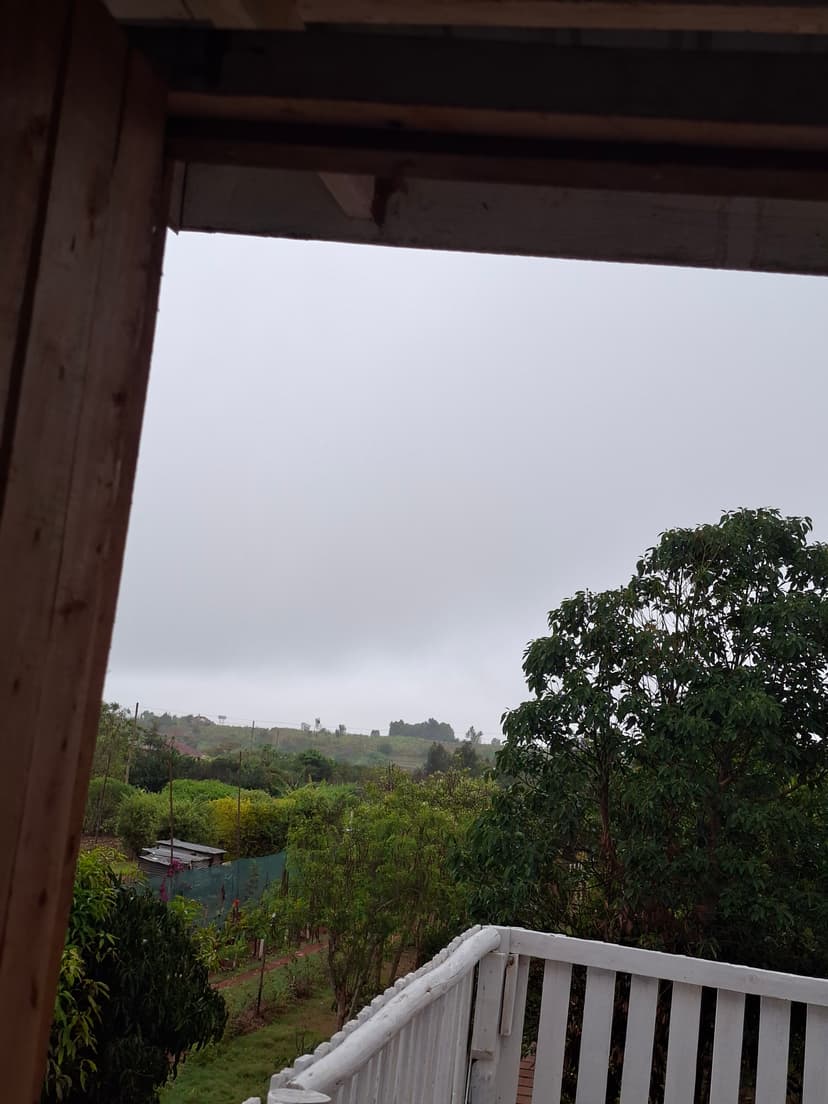 20251109 064753 Y9Mnod