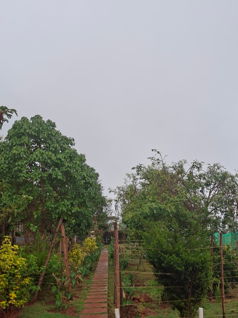 20251109 072650 Nivqvj