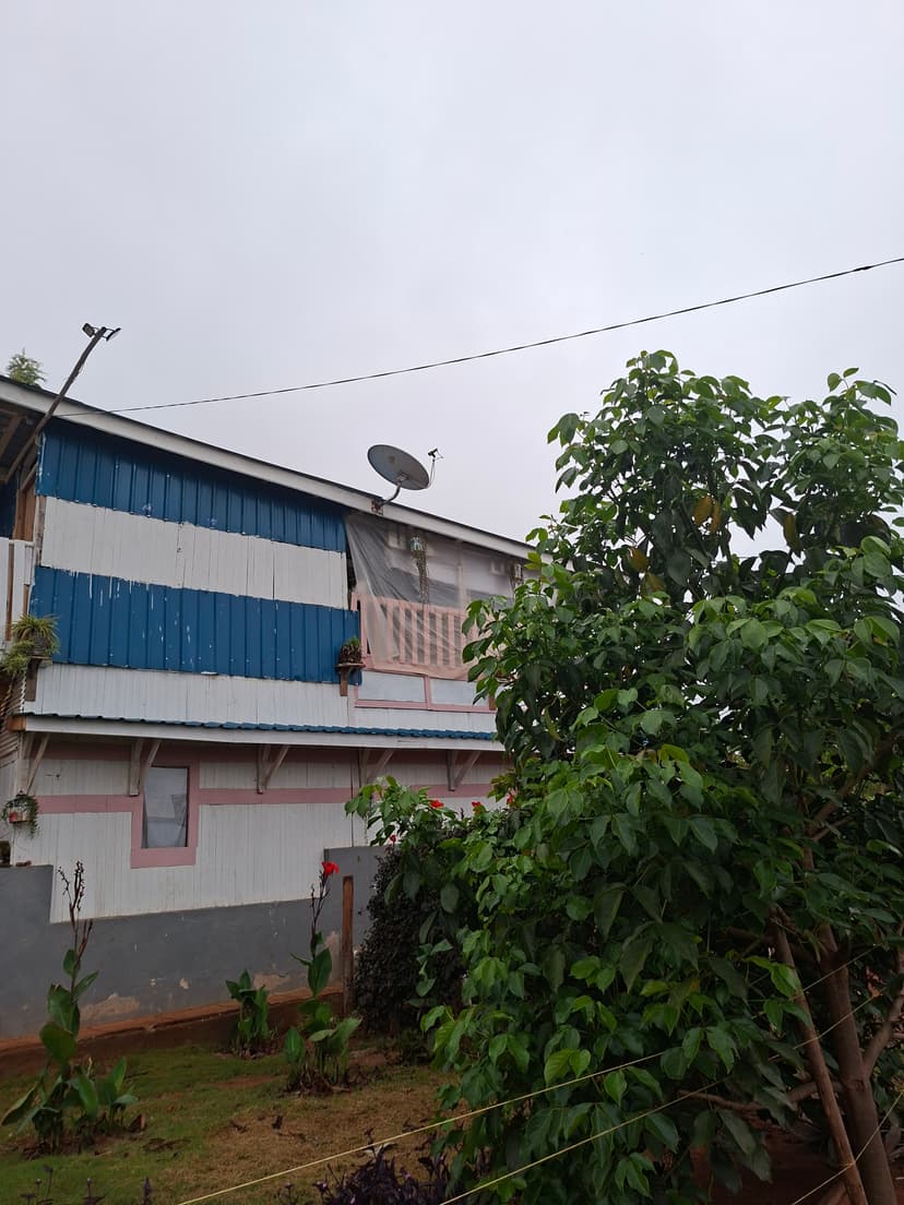 20251109 063518 Vimzvj