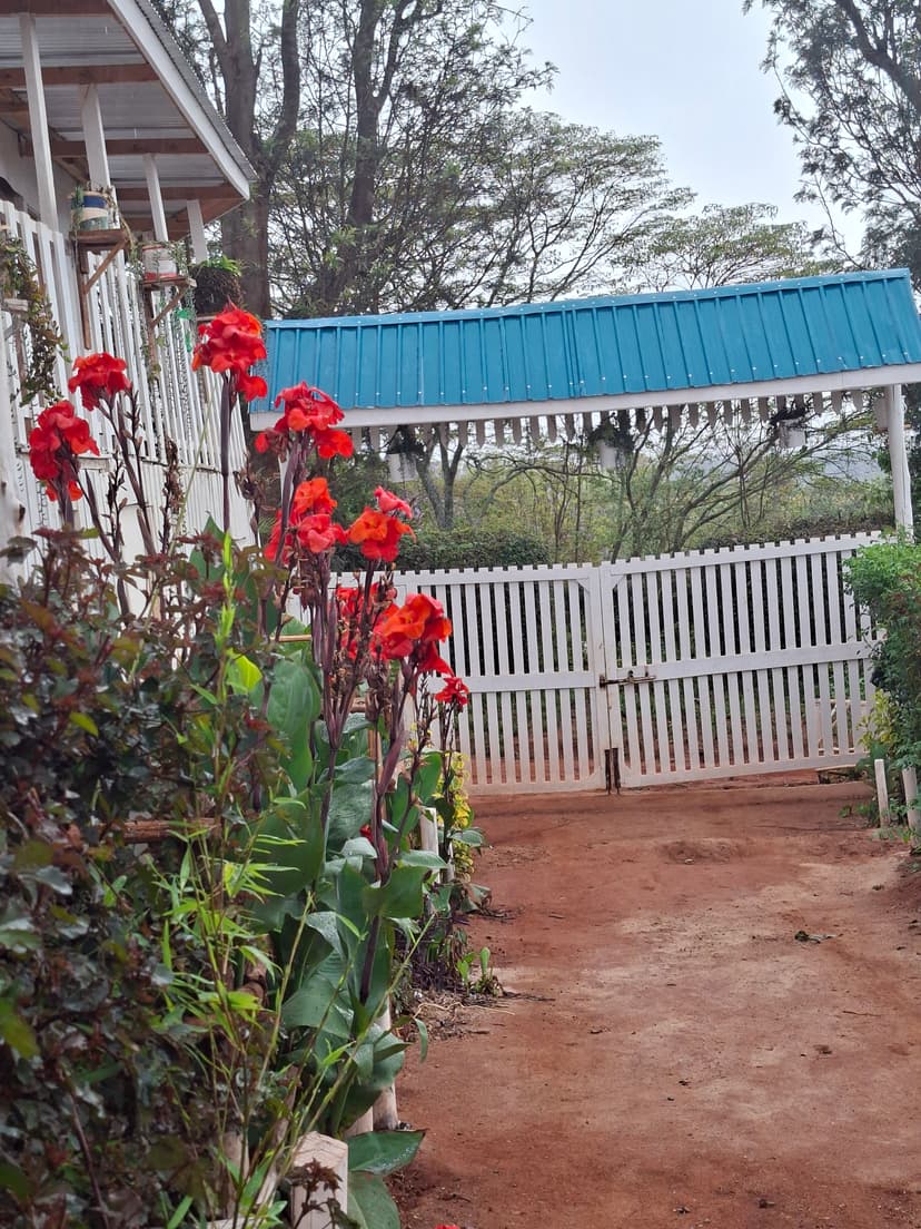 20251109 064314 Bjwu3Z