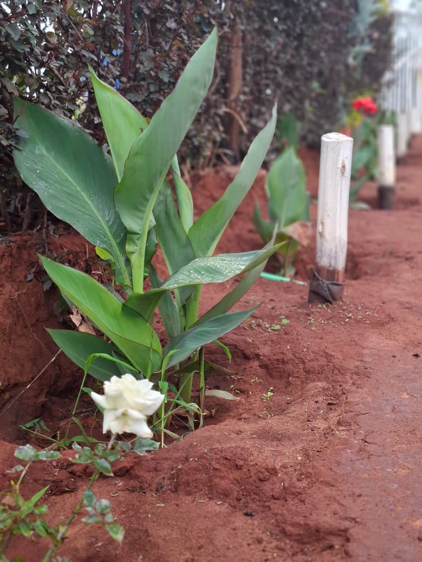 20251109 064416 U0Spg7