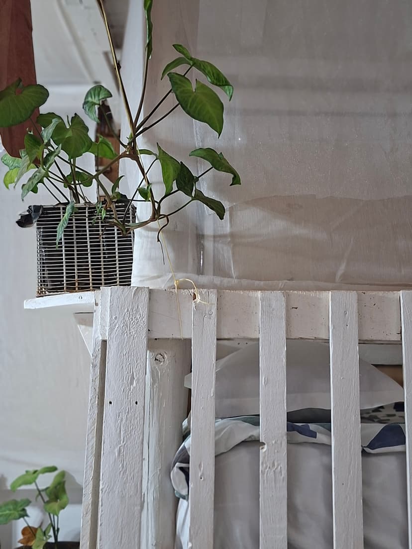 20251109 064552 Enfc9K