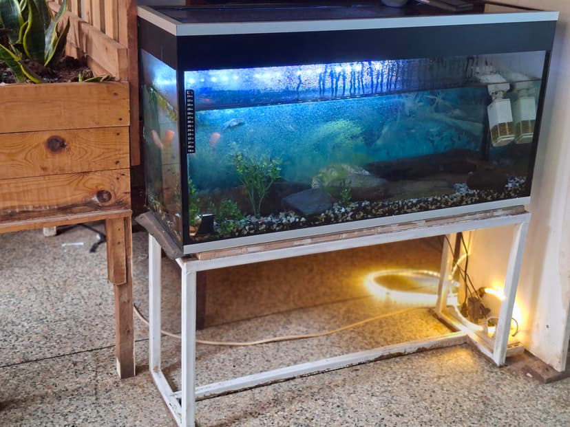 20251109 104641 Qszxdr