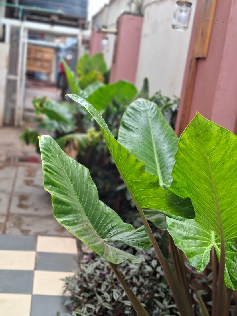 20251109 105604 Nzdnfx