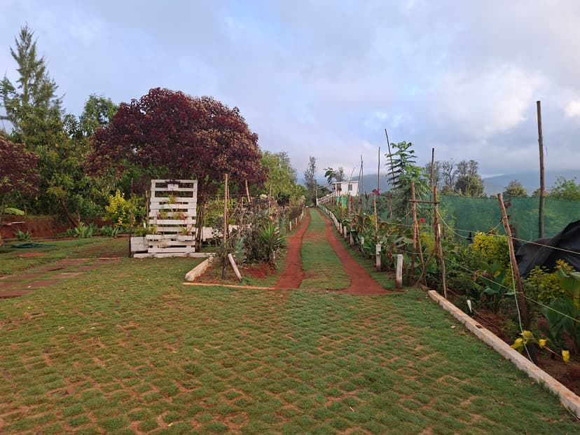 20251127 065641 Ljywri